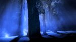 misty blue forest scene